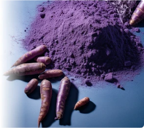 ProvaDent is made of ingredients